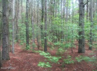 0 Old Mintz Highway, Garland, NC 28441