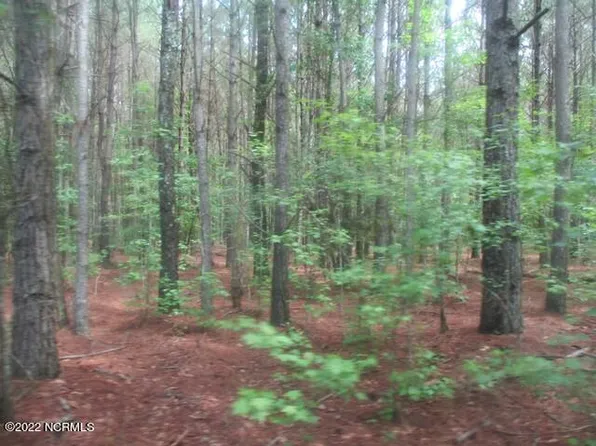 0 Old Mintz Highway, Garland, NC 28441