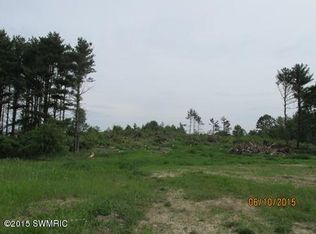 10696 21 Mile Rd, Evart, MI 49631