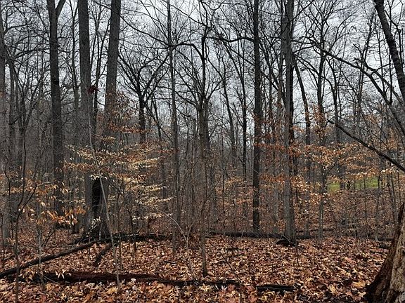 5th image of LOT 162 N Foxcliff Dr W