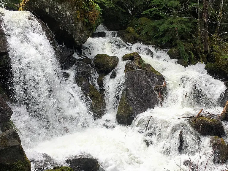 Dozens of waterfalls can be seen right from the hwy or on short walks off the hwy on the way to Diamond Lake and Crater Lake - such a magnificent area!