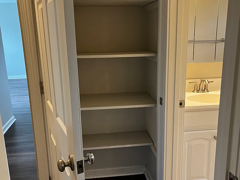 Spacious linen closet next to bathroom