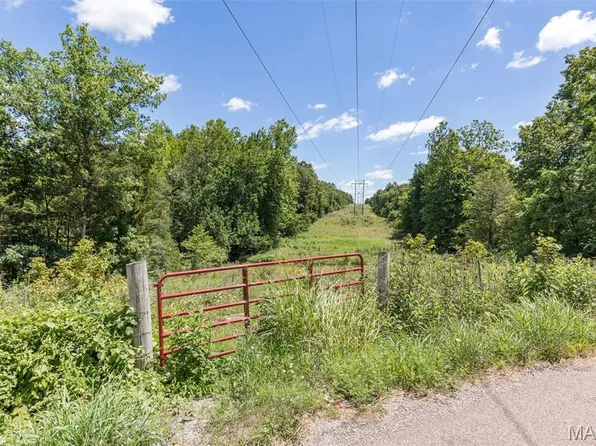 1175 Three Rivers Rd, Farmington, MO 63640