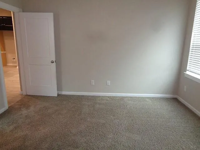 27029 Sofia Forest Dr — Photo 14