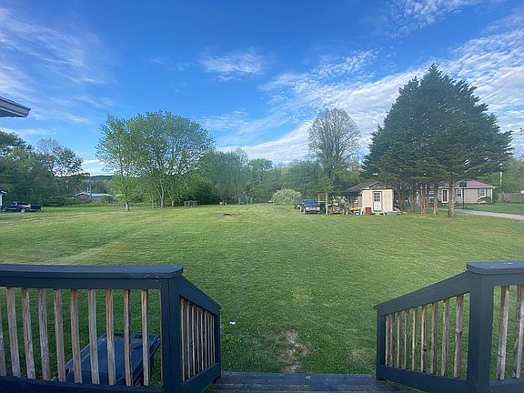 Back yard 