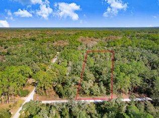 7292 Sonia Ave LOT 19, Webster, FL 33597