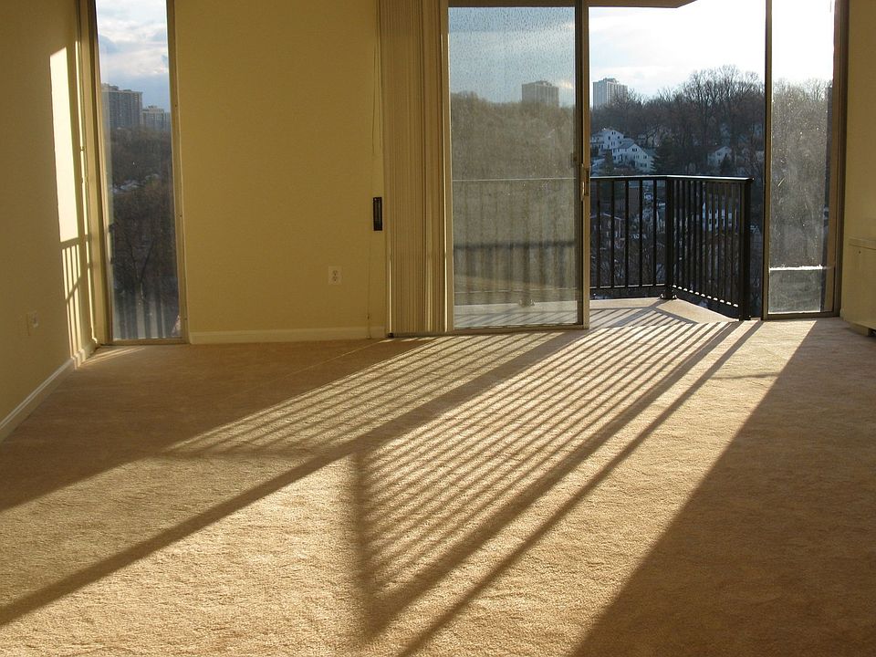 Living room bathed in sunglight