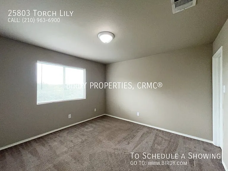 25803 Torch Lily — Photo 36