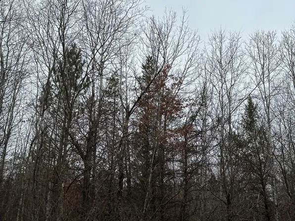 Wood Rd #4069-22, Tomahawk, WI 54487