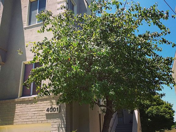 3rd image of 4001 Greenwood Ave APT 2