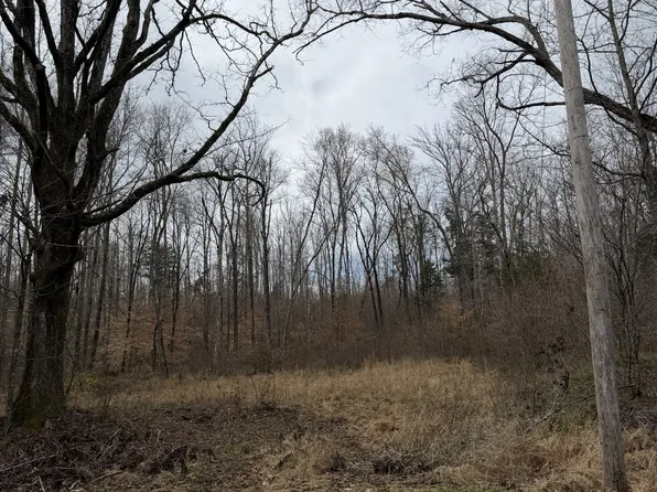 0 Coxburg Rd S, Holladay, TN 38341