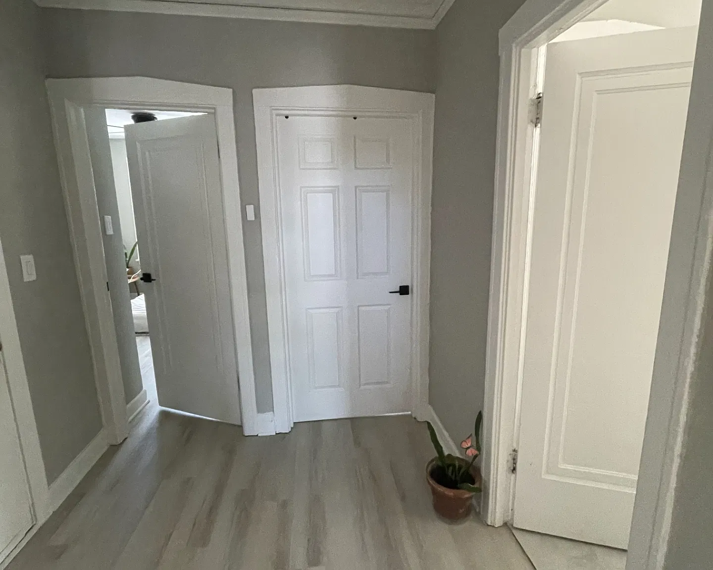 2 bed, 800 sqft, $750 — Photo 4