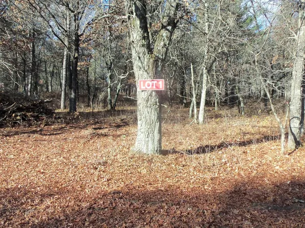 1 Riverview Trl, Grantsburg, WI 54840