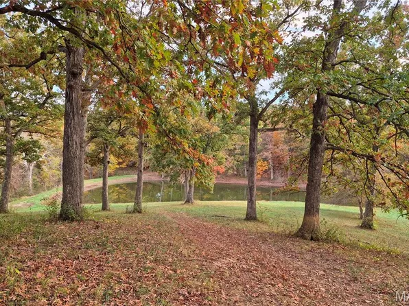 0 Highway D Tract 11, Eolia, MO 63344