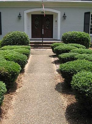 3rd image of 124 Beechwood Hls