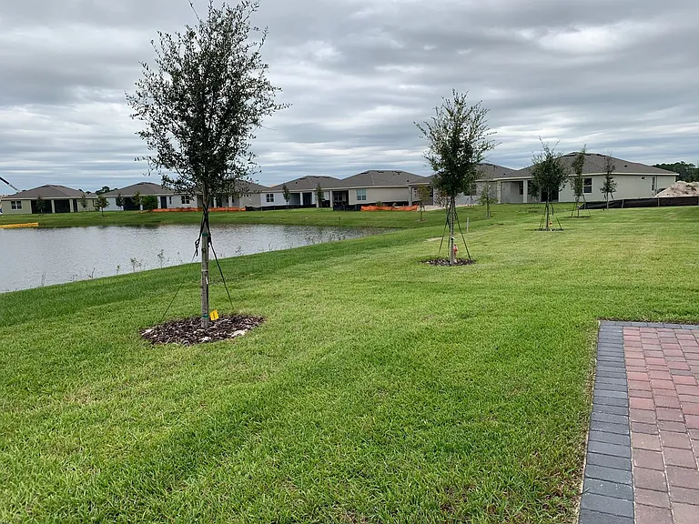 17841 Blazing Star Cir — Photo 1