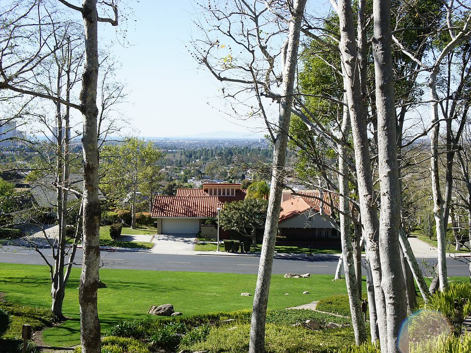 Park-like setting