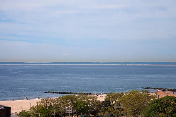 Rented by Bold New York | media 19