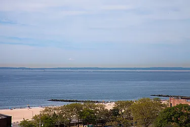 Rented by Bold New York