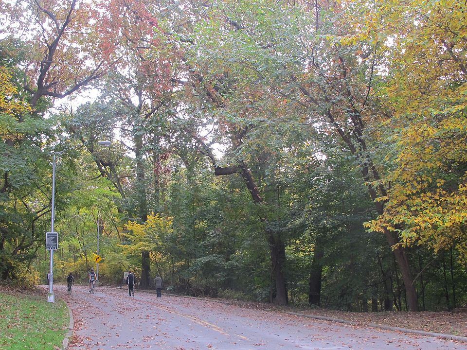 Forest Park