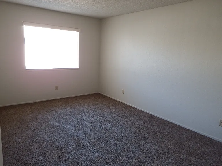 Spacious Master bedroom with new plush carpet