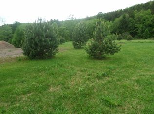 33195 Route 10, Hamden, NY 13856