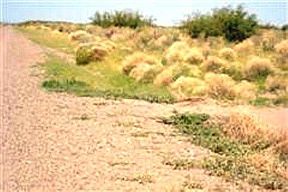 3rd image of Medano Rd SE