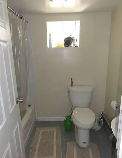 1 bed, 80 sqft, $650 — Photo 3