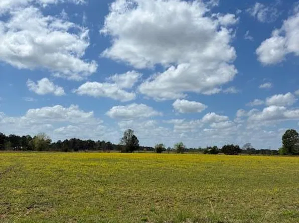 331 D Williams Rd, Morton, MS 39117