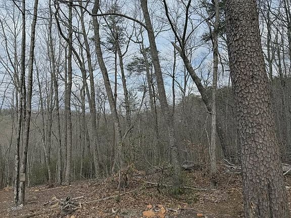 5th image of TRACT B2 Mountain St
