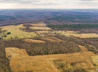 594 Raum Rd, Golconda, IL 62938