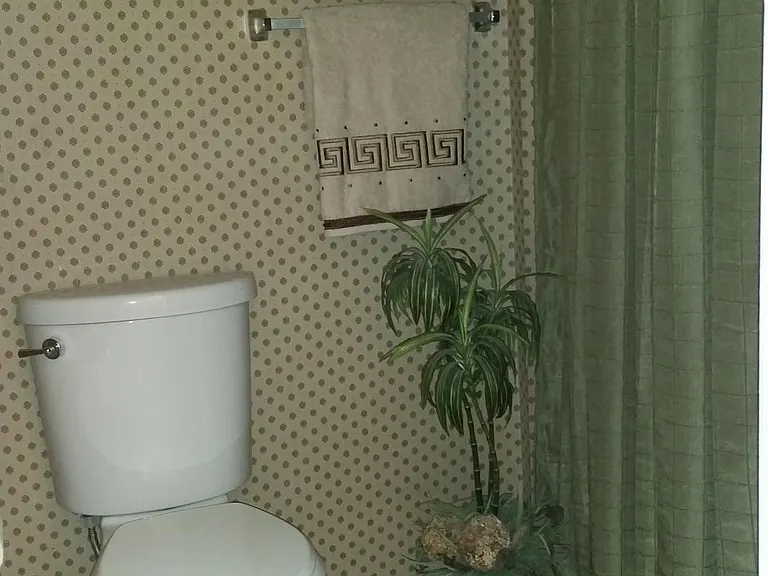 Master bathroom.