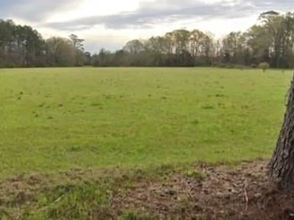 27551&27569 Horseshoe Rd N, Independence, LA 70443