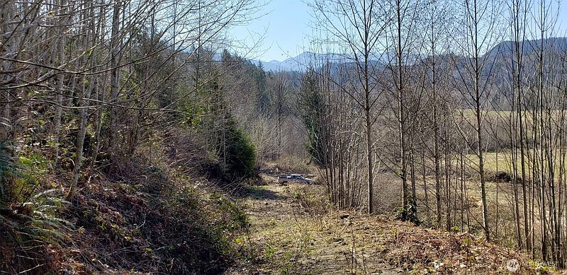 3rd image of 0 Concrete Sauk Valley Road