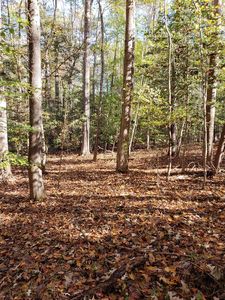 29 Section #B, Gasburg, VA, 23857