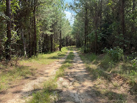 4th image of 0 County Road 7755