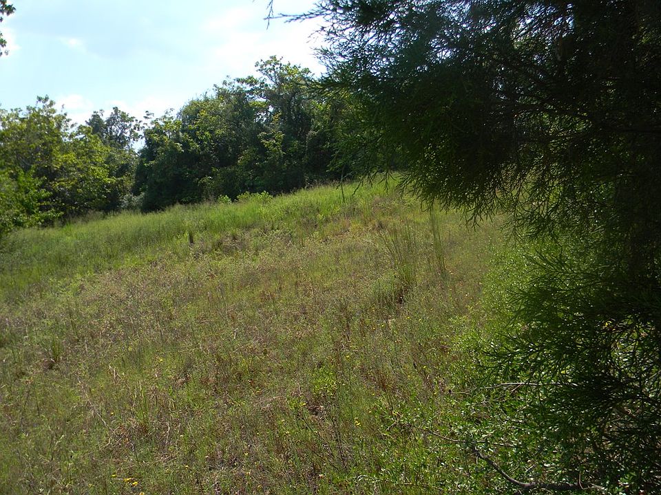 2nd image of 0 Patterson Rd