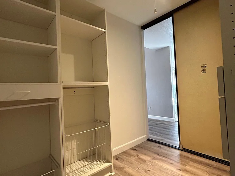 Master Bedroom Walk-in Closet #2