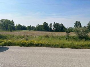 1029 Serenity Ct, Riley, MI 48041