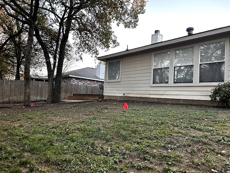 back yard