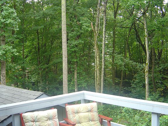 Wooded View
