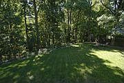 Deep Back Yard view