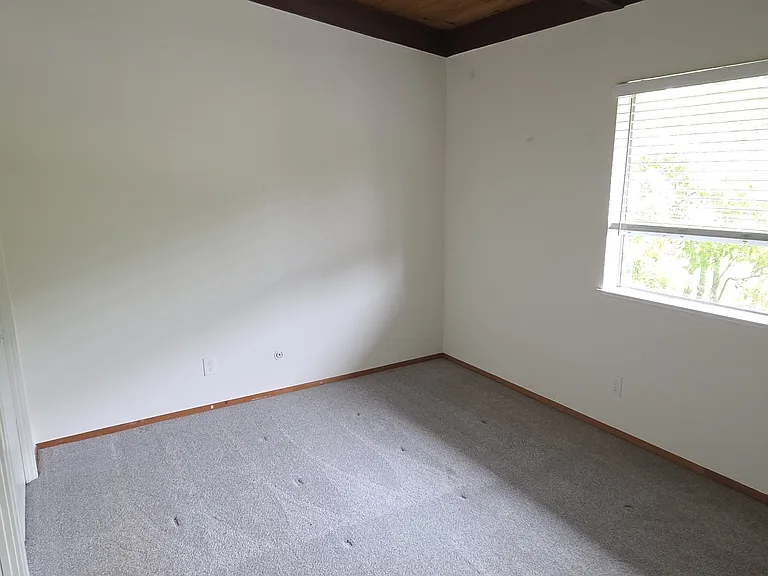 915 E Blithedale Ave — Photo 4