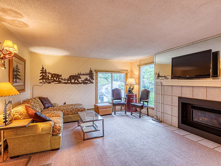 1063 Vail View Dr #1-1LIONS — Photo 16