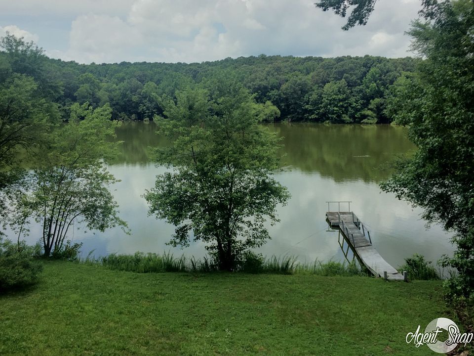 View from the patio 