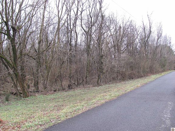 3rd image of 0 Rogers Loop