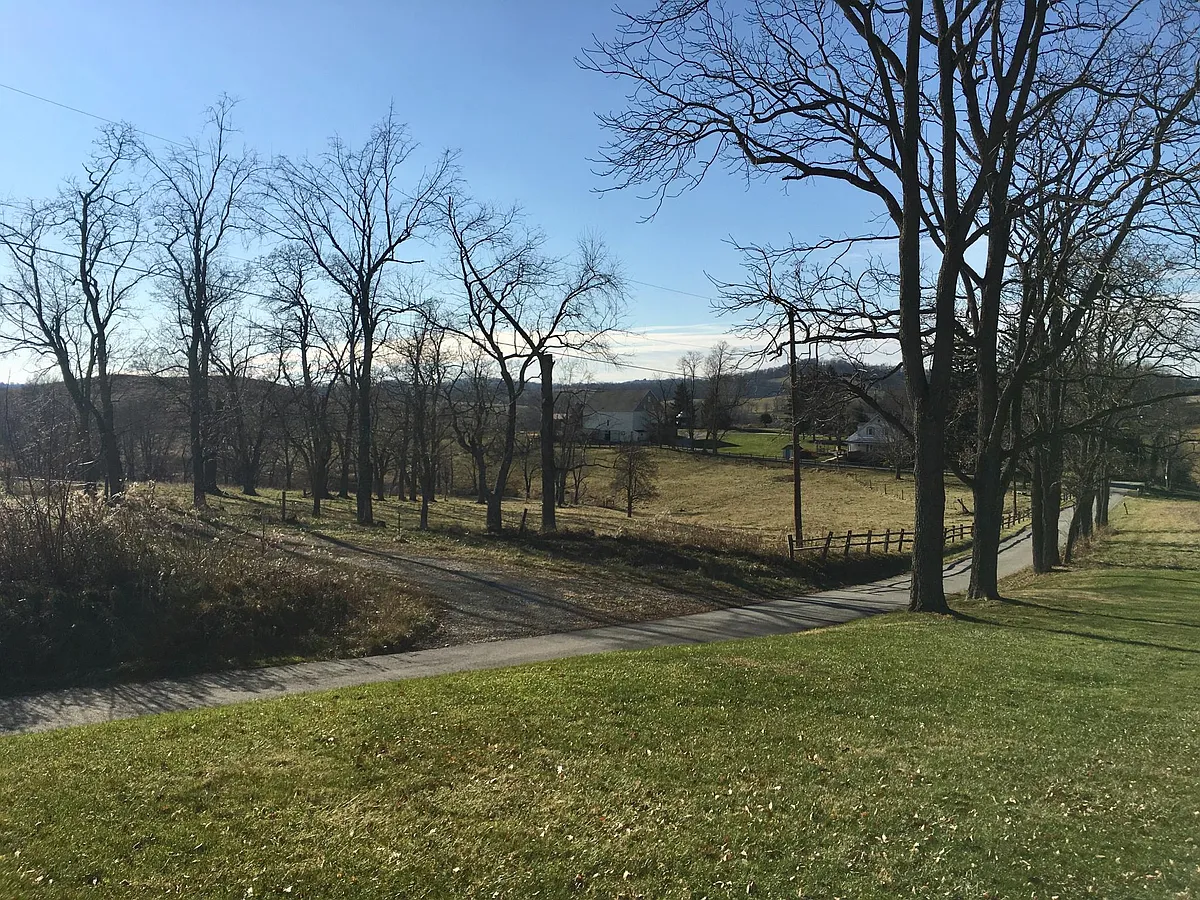 Photo 1 of 18 - 479 Woodland Rd - Coal Center, PA Back Yard/Rear View - 479 Woodland Rd