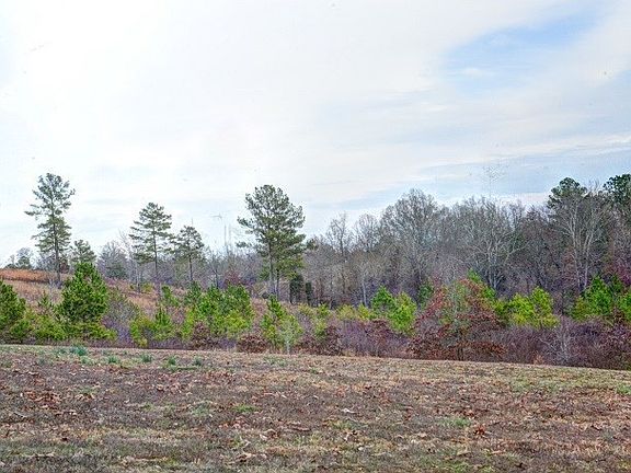 2nd image of 0 Sneed Rd Lot 14