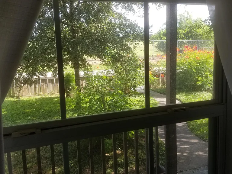 451 Eleanor Ave #3 — Photo 9