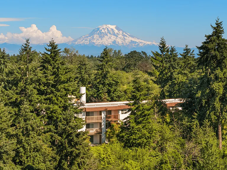 Serene natural surroundings with incredible views of Mount Rainier.